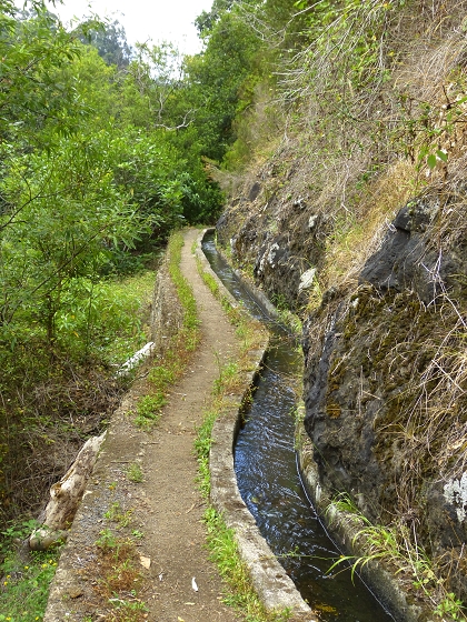 07.08.2013 Levada do Castelejo — Rückweg — Foto 15