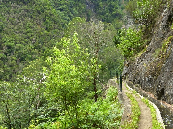 07.08.2013 Levada do Castelejo — Rückweg — Foto 17