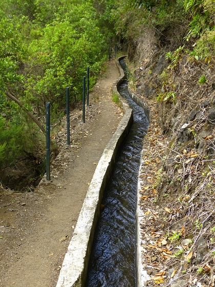 07.08.2013 Levada do Castelejo — Rückweg — Foto 19