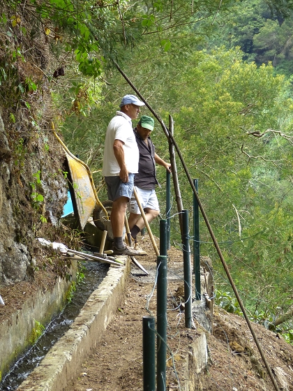 07.08.2013 Levada do Castelejo — Rückweg — Foto 21