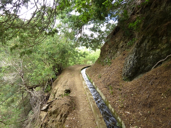 07.08.2013 Levada do Castelejo — Rückweg — Foto 23