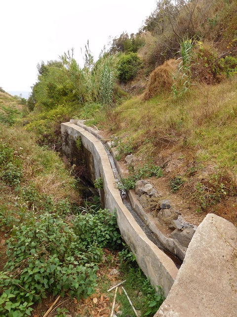 7 de agosto de 2015 Levada da Tabua e Nova — Na Levada Nova de volta a Corujeira — foto 42