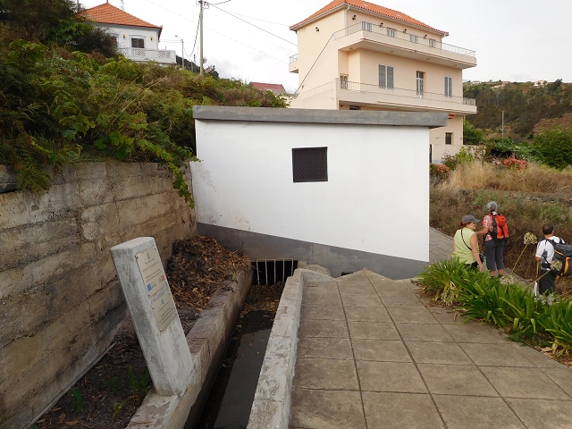 7 de agosto de 2015 Levada da Tabua e Nova — Na Levada Nova de volta a Corujeira — foto 49
