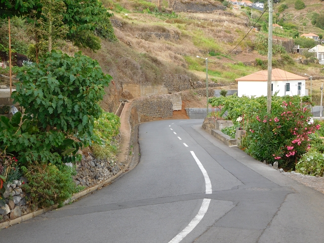 7 de agosto de 2015 Levada da Tabua e Nova — Na Levada Nova de volta a Corujeira — foto 52