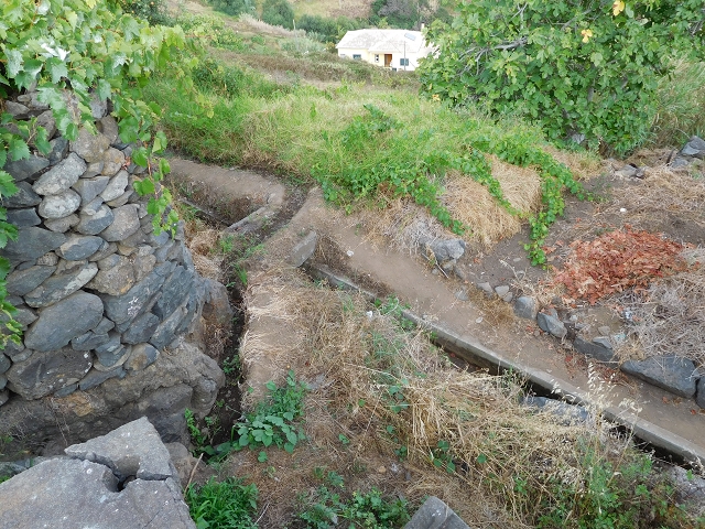 7 de agosto de 2015 Levada da Tabua e Nova — Na Levada Nova de volta a Corujeira — foto 54