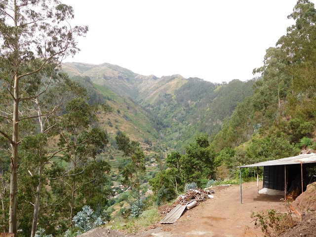 7 de agosto de 2015 Levada da Tabua e Nova — Na Levada de Tabua até à sua Madre — foto 15
