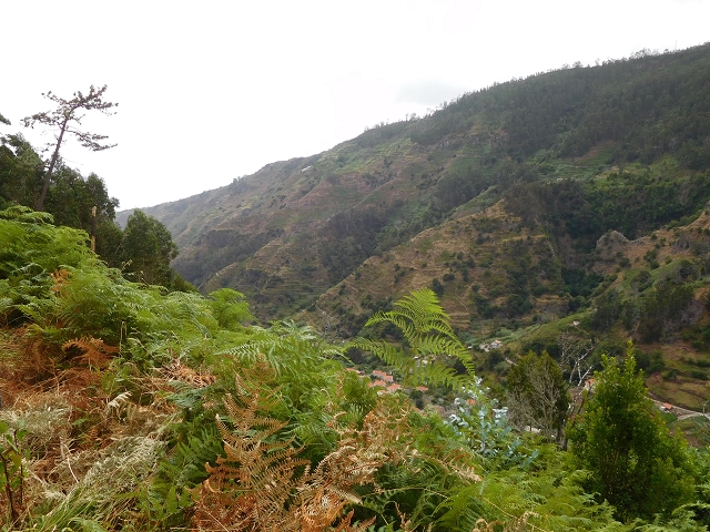 7 de agosto de 2015 Levada da Tabua e Nova — Na Levada de Tabua até à sua Madre — foto 27