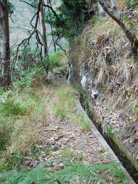 7 de agosto de 2015 Levada da Tabua e Nova — Na Levada de Tabua até à sua Madre — foto 28