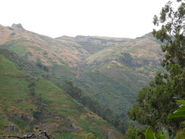 7 de agosto de 2015 Levada da Tabua e Nova — Na Levada de Tabua até à sua Madre — foto 29