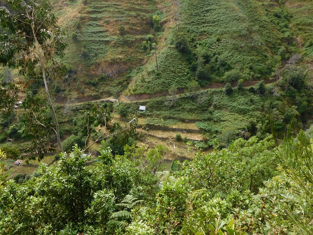 7 de agosto de 2015 Levada da Tabua e Nova — Na Levada de Tabua até à sua Madre — foto 30
