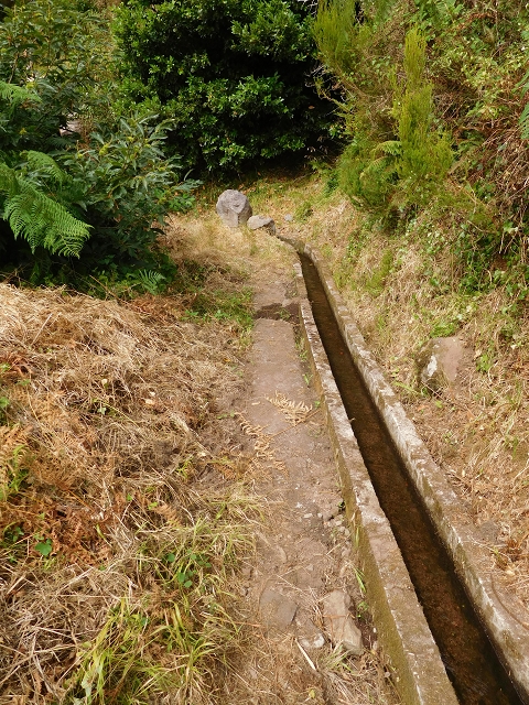 7 de agosto de 2015 Levada da Tabua e Nova — Na Levada de Tabua até à sua Madre — foto 39