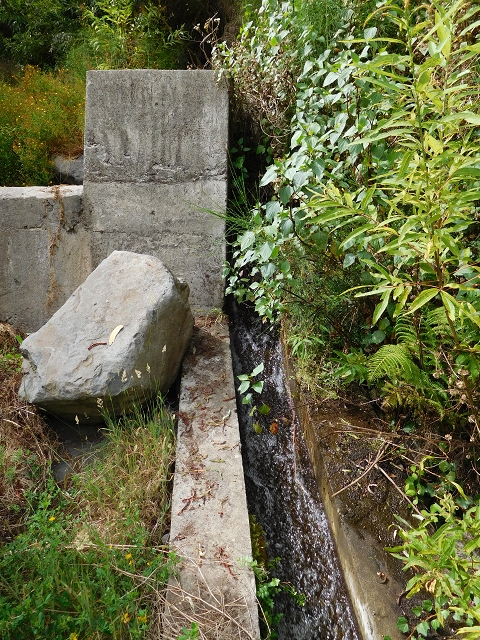7 de agosto de 2015 Levada da Tabua e Nova — Na Levada de Tabua até à sua Madre — foto 46