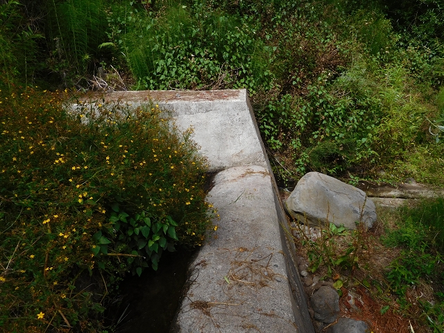 7 de agosto de 2015 Levada da Tabua e Nova — Na Levada de Tabua até à sua Madre — foto 48