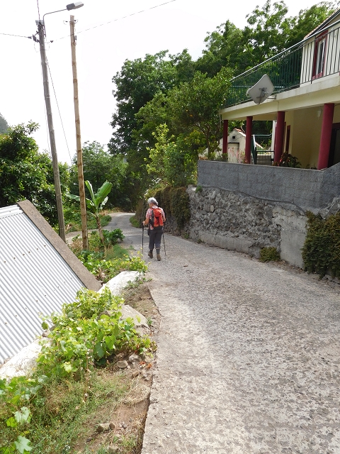 7 de agosto de 2015 Levada da Tabua e Nova — Descida para Tabua — foto 5