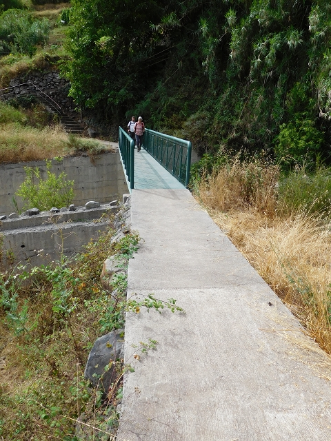 7 de agosto de 2015 Levada da Tabua e Nova — Descida para Tabua — foto 6