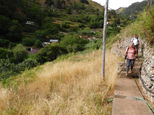 7 de agosto de 2015 Levada da Tabua e Nova — Descida para Tabua — foto 7