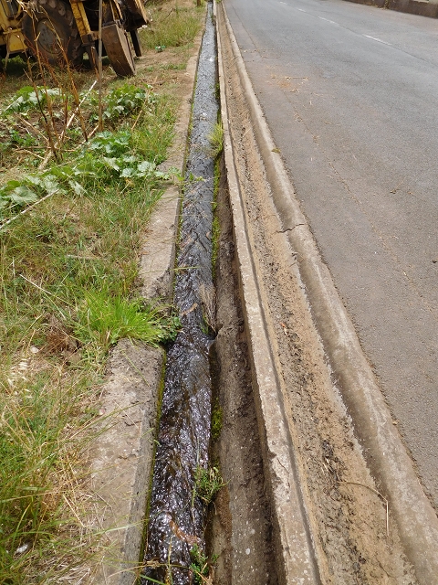 7 de agosto de 2015 Levada da Tabua e Nova — Na Levada de Tabua até à sua Madre — foto 6