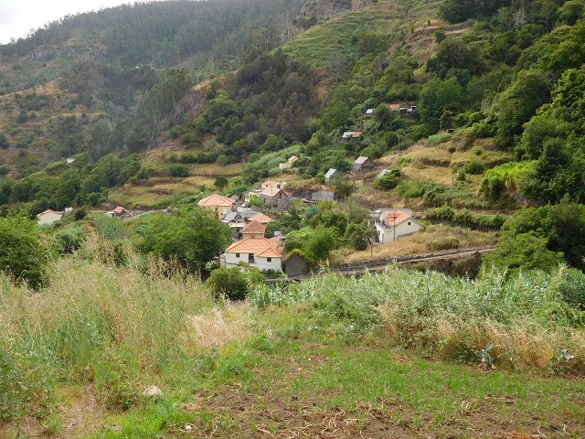 7 de agosto de 2015 Levada da Tabua e Nova — Descida para Tabua — foto 9