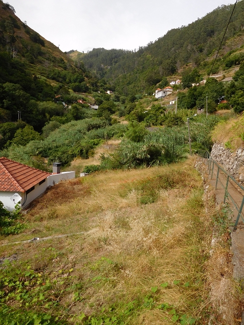 7 de agosto de 2015 Levada da Tabua e Nova — Descida para Tabua — foto 10