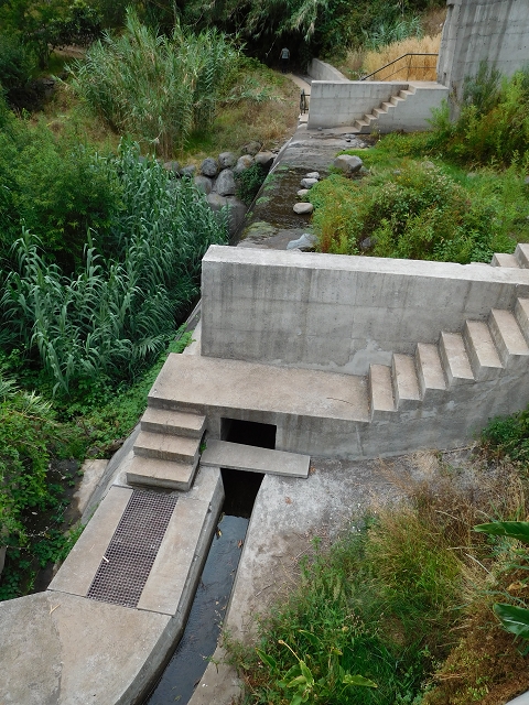 7 de agosto de 2015 Levada da Tabua e Nova — Descida para Tabua — foto 11