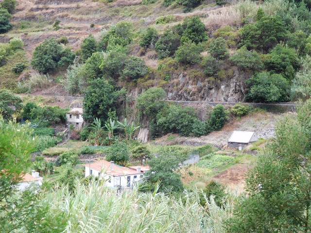 7 de agosto de 2015 Levada da Tabua e Nova — Na Levada Nova de volta a Corujeira — foto 2