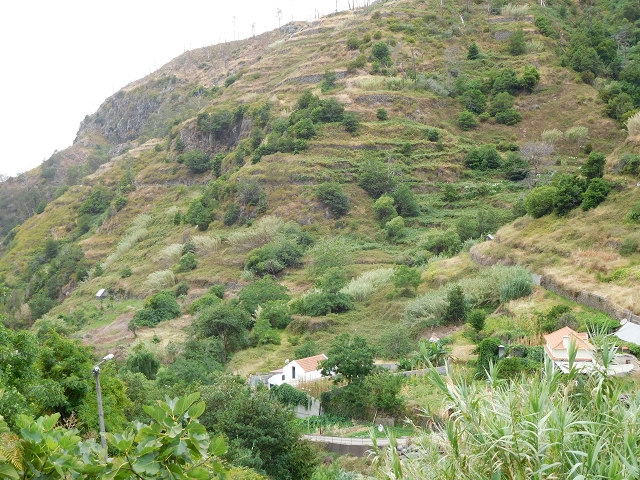 7 de agosto de 2015 Levada da Tabua e Nova — Na Levada Nova de volta a Corujeira — foto 3
