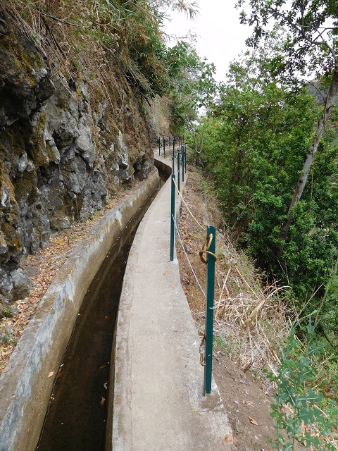 7 de agosto de 2015 Levada da Tabua e Nova — Na Levada Nova de volta a Corujeira — foto 9