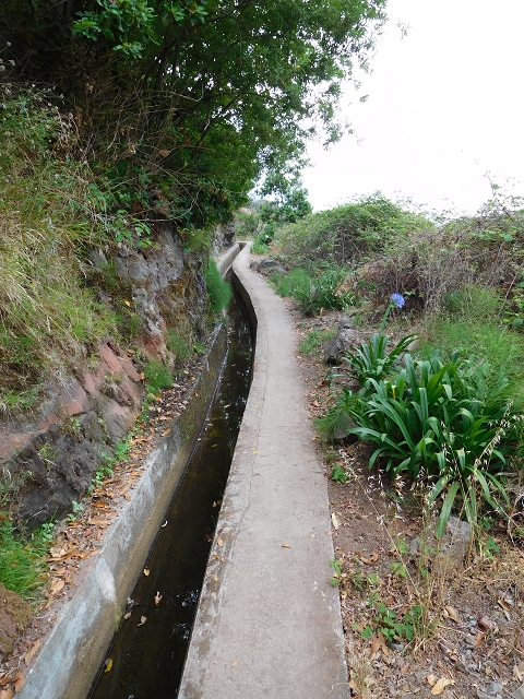 7 de agosto de 2015 Levada da Tabua e Nova — Na Levada Nova de volta a Corujeira — foto 12
