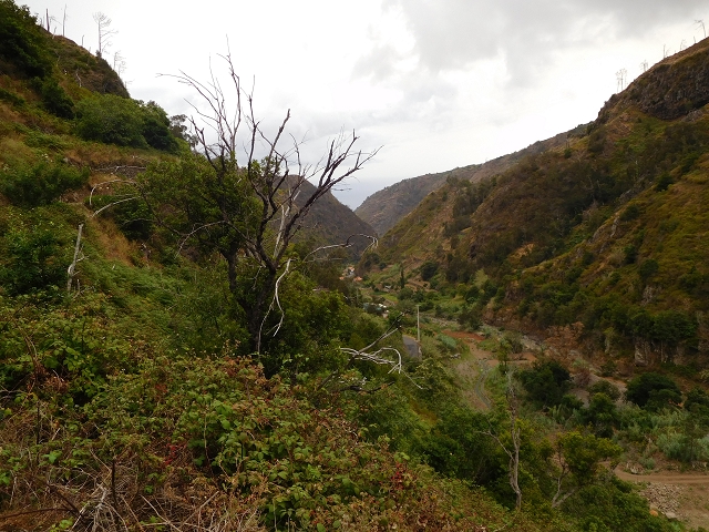 7 de agosto de 2015 Levada da Tabua e Nova — Na Levada Nova de volta a Corujeira — foto 13