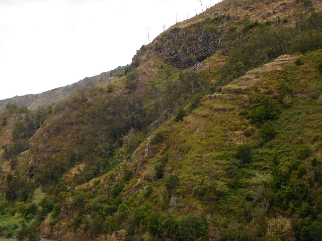 7 de agosto de 2015 Levada da Tabua e Nova — Na Levada Nova de volta a Corujeira — foto 14