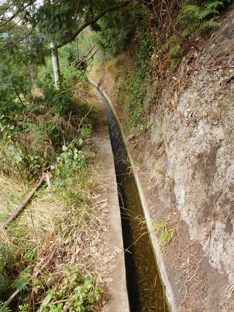 7 de agosto de 2015 Levada da Tabua e Nova — Na Levada de Tabua até à sua Madre — foto 8