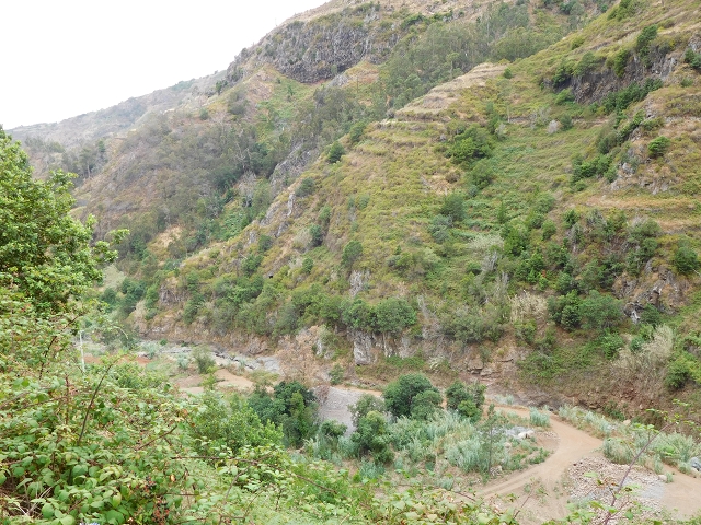 7 de agosto de 2015 Levada da Tabua e Nova — Na Levada Nova de volta a Corujeira — foto 16