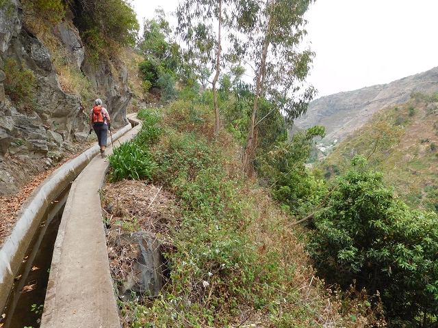 7 de agosto de 2015 Levada da Tabua e Nova — Na Levada Nova de volta a Corujeira — foto 23