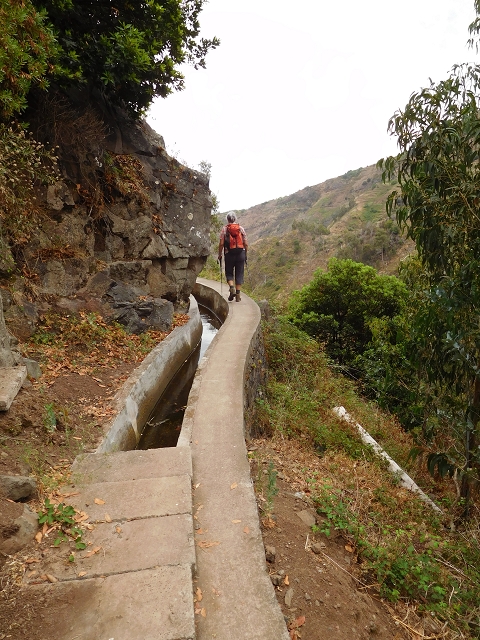 7 de agosto de 2015 Levada da Tabua e Nova — Na Levada Nova de volta a Corujeira — foto 24