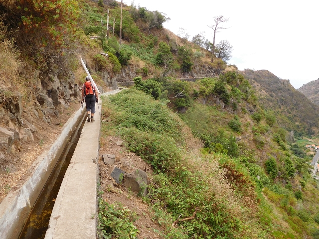 7 de agosto de 2015 Levada da Tabua e Nova — Na Levada Nova de volta a Corujeira — foto 25