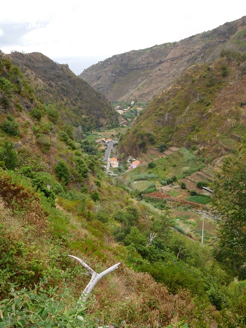 7 de agosto de 2015 Levada da Tabua e Nova — Na Levada Nova de volta a Corujeira — foto 27