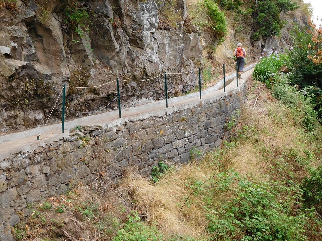 7 de agosto de 2015 Levada da Tabua e Nova — Na Levada Nova de volta a Corujeira — foto 29