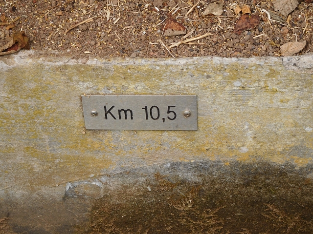 7 de agosto de 2015 Levada da Tabua e Nova — Na Levada Nova de volta a Corujeira — foto 35