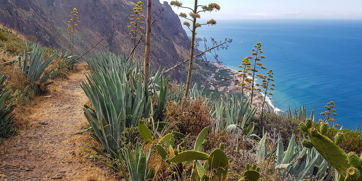 7 August 2021 A relaxed circuit around Paul do Mar — Descent on the CR23 from Faja da Ovelha to Paul do Mar — photo 12