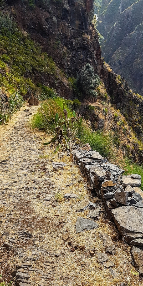 7 August 2021 A relaxed circuit around Paul do Mar — Descent on the CR23 from Faja da Ovelha to Paul do Mar — photo 13