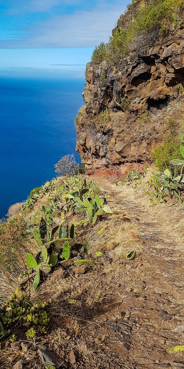 7 August 2021 A relaxed circuit around Paul do Mar — Descent on the CR23 from Faja da Ovelha to Paul do Mar — photo 14