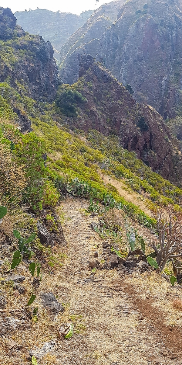 7 August 2021 A relaxed circuit around Paul do Mar — Descent on the CR23 from Faja da Ovelha to Paul do Mar — photo 16