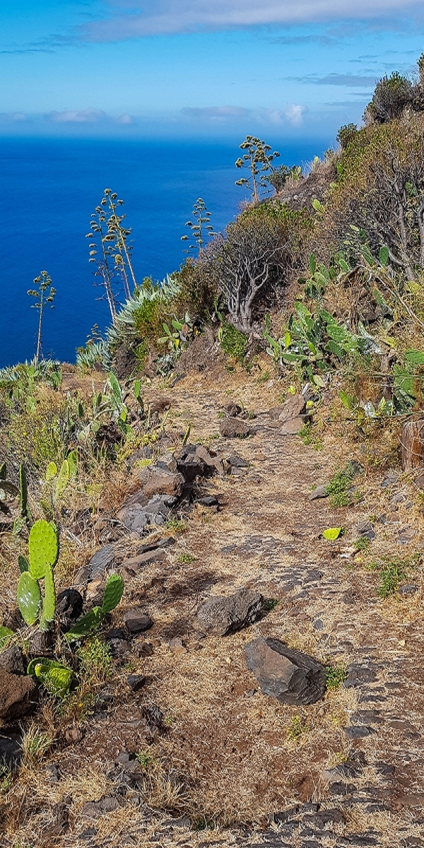 7 August 2021 A relaxed circuit around Paul do Mar — Descent on the CR23 from Faja da Ovelha to Paul do Mar — photo 18