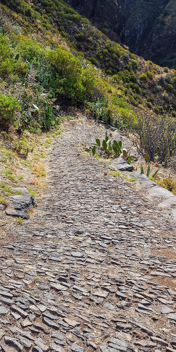 7 August 2021 A relaxed circuit around Paul do Mar — Descent on the CR23 from Faja da Ovelha to Paul do Mar — photo 19