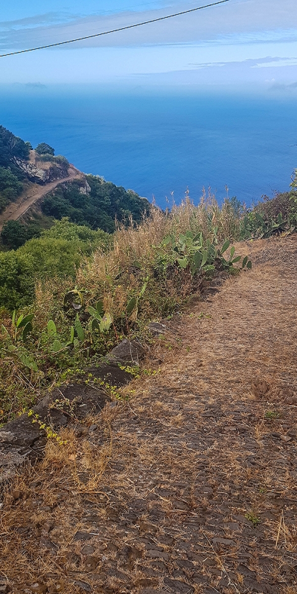 7 August 2021 A relaxed circuit around Paul do Mar — Descent on the CR23 from Faja da Ovelha to Paul do Mar — photo 2