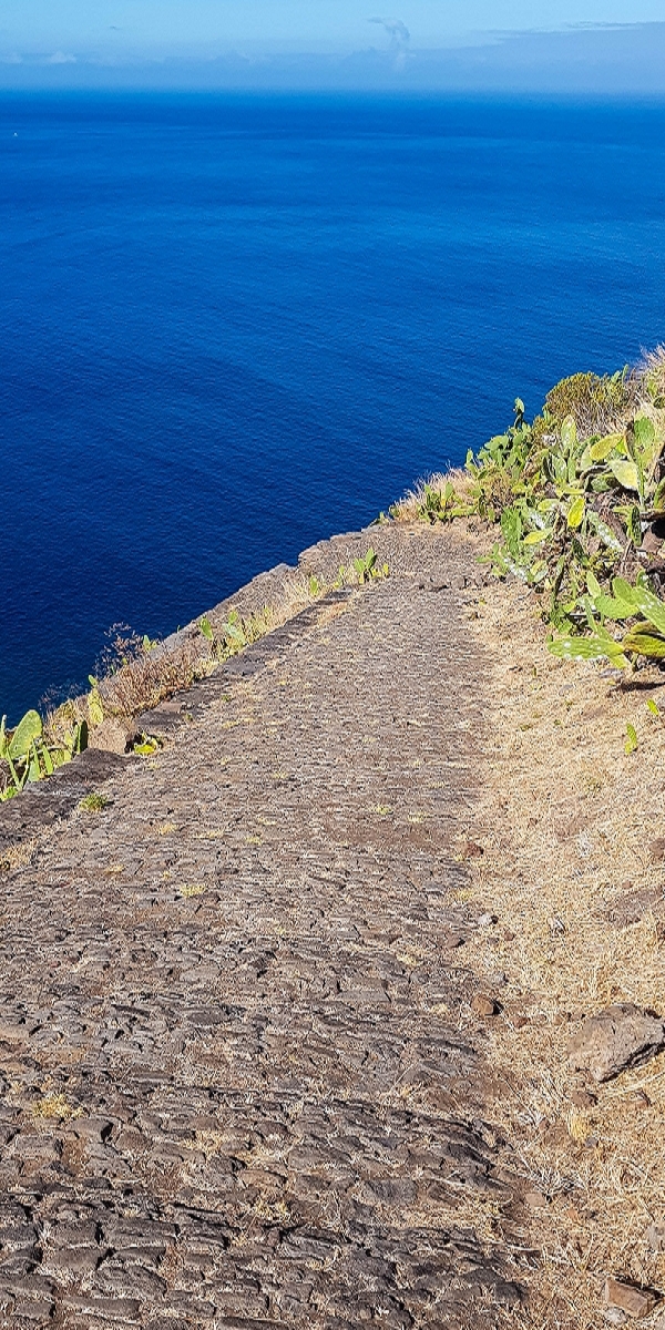 7 August 2021 A relaxed circuit around Paul do Mar — Descent on the CR23 from Faja da Ovelha to Paul do Mar — photo 21
