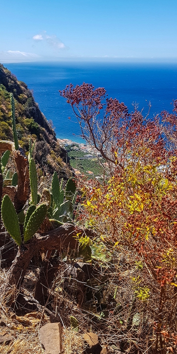 7 August 2021 A relaxed circuit around Paul do Mar — Climb on the Vereda da Atalaia — photo 4