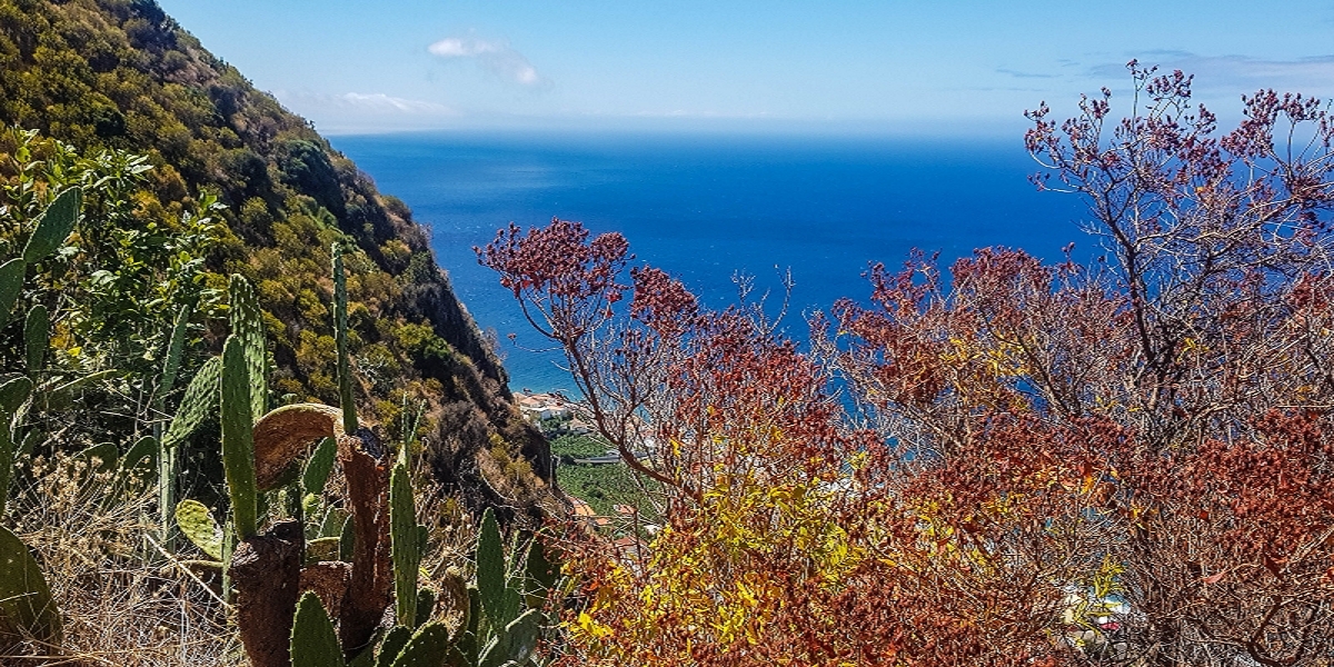 7 August 2021 A relaxed circuit around Paul do Mar — Climb on the Vereda da Atalaia — photo 5