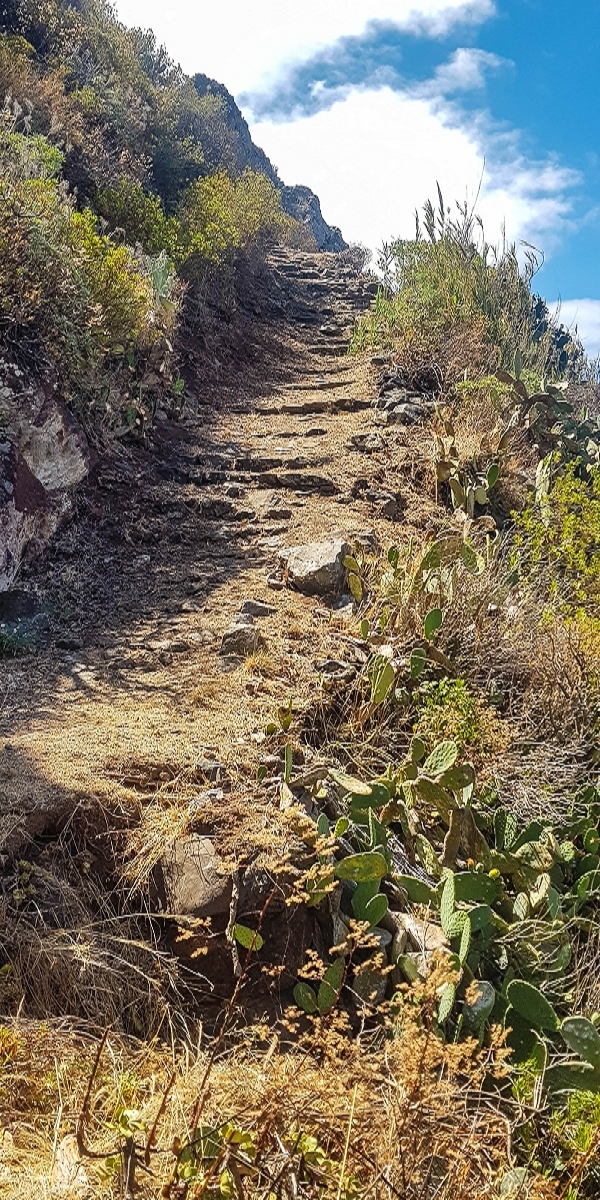 7 August 2021 A relaxed circuit around Paul do Mar — Climb on the Vereda da Atalaia — photo 8