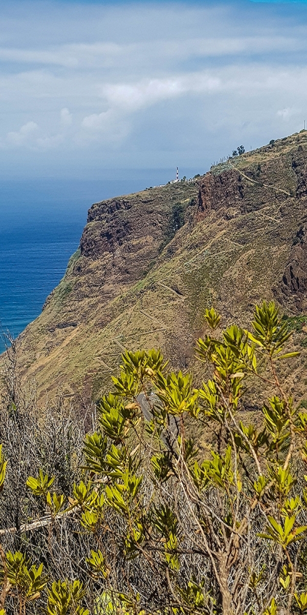 7 August 2021 A relaxed circuit around Paul do Mar — Climb on the Vereda da Atalaia — photo 9